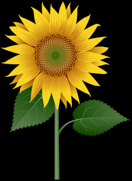 Vibrant Sunflower Illustration PNG Image