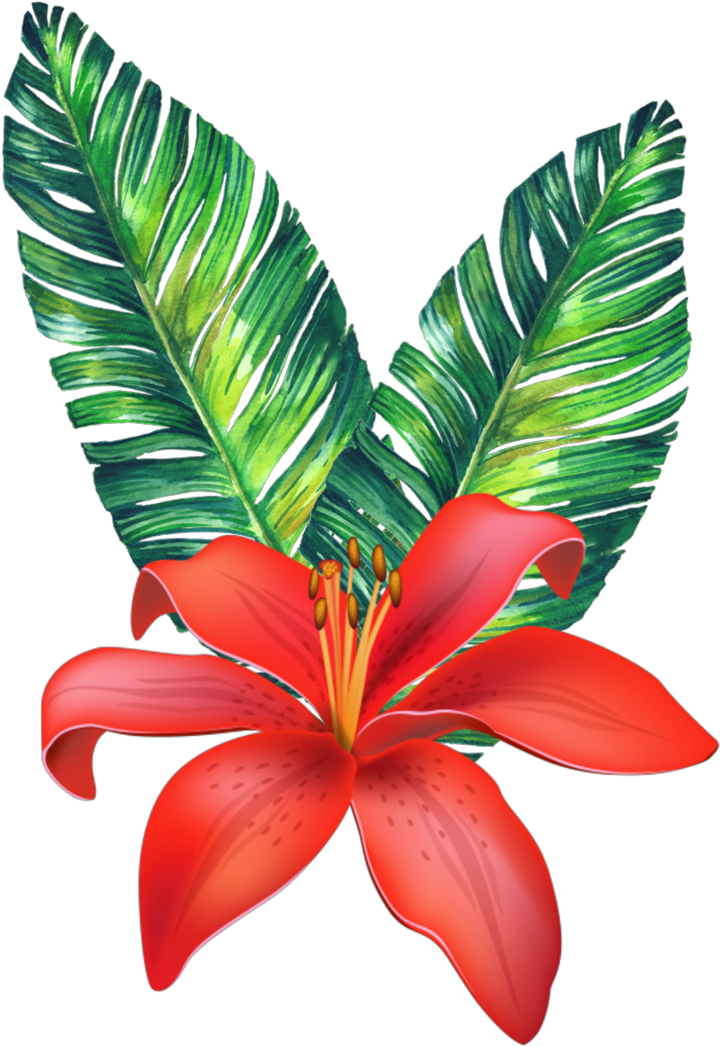 Vibrant Tropical Flora PNG Image