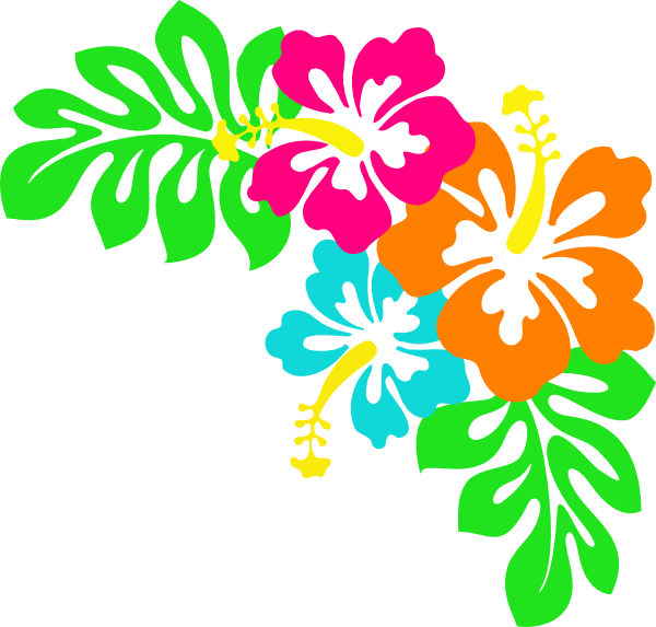 Vibrant Tropical Floral Graphic PNG Image