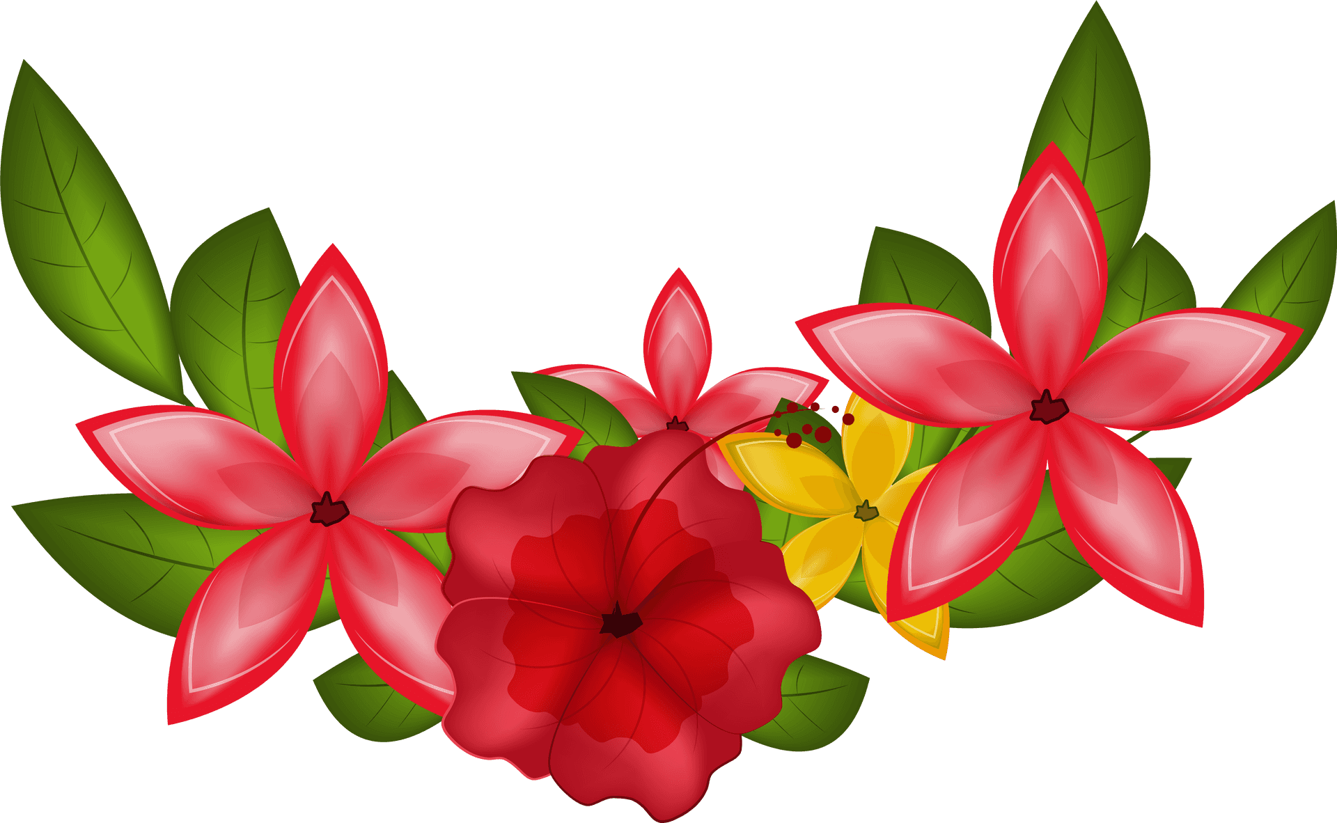 Vibrant Tropical Flowers PNG Image