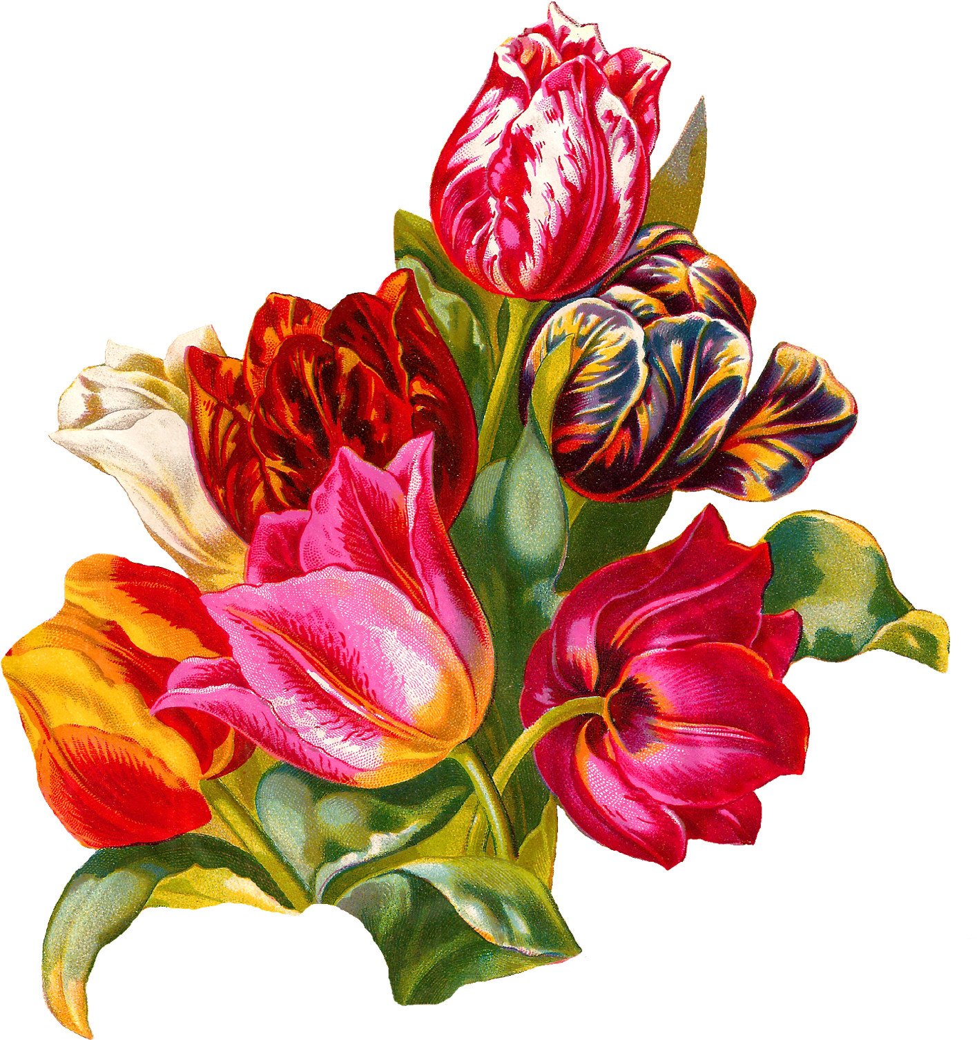 Vibrant_ Tulip_ Bouquet_ Artwork PNG Image