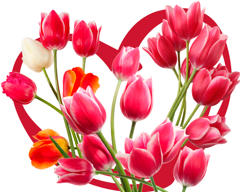 Vibrant_ Tulip_ Bouquet_ Heart_ Background PNG Image