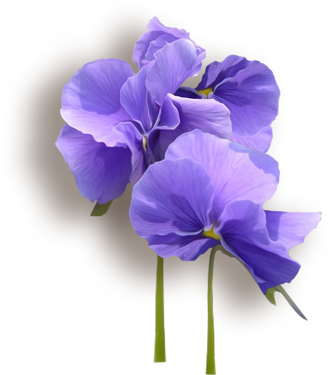 Vibrant Violet Flowers PNG Image