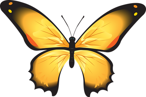 Vibrant Yellow Butterfly Illustration PNG Image