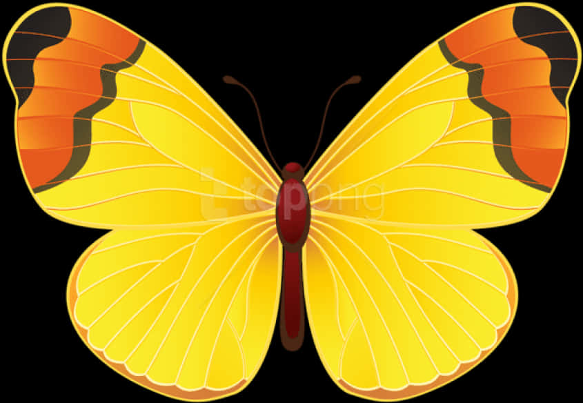 Vibrant Yellow Butterfly Illustration PNG Image