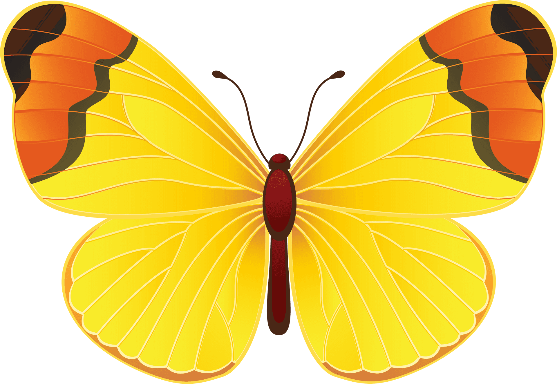 Vibrant Yellow Butterfly Illustration PNG Image