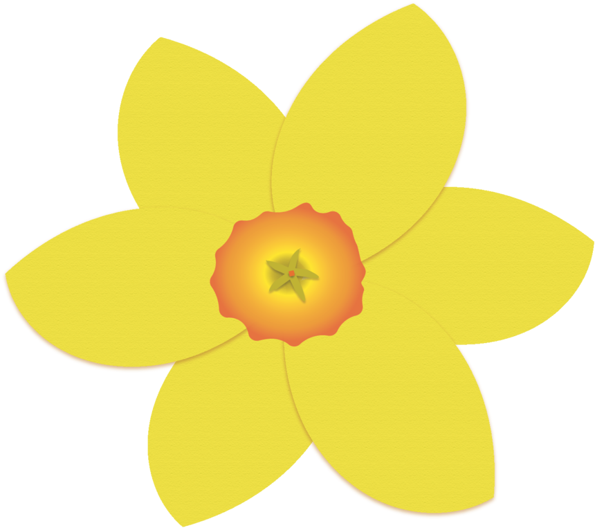 Vibrant Yellow Daffodil Illustration PNG Image