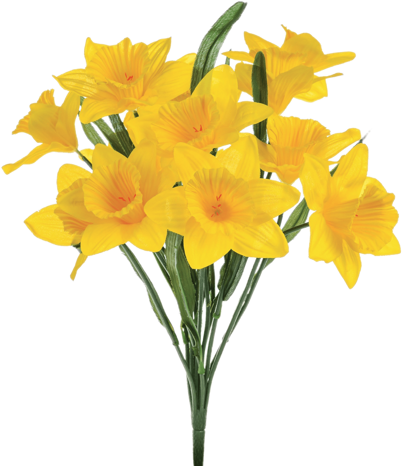 Vibrant Yellow Daffodils Bouquet PNG Image