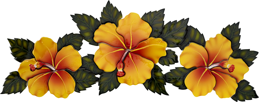 Vibrant Yellow Hibiscus Flowers PNG Image