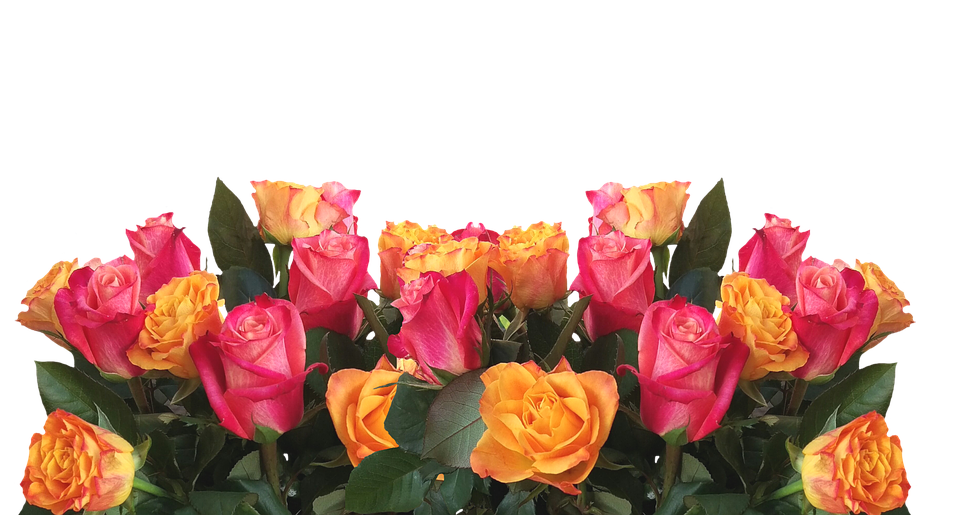 Vibrant Yellow Pink Roses Bouquet PNG Image