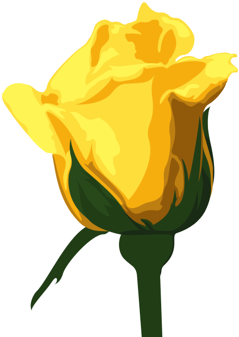 Vibrant Yellow Rose Illustration PNG Image