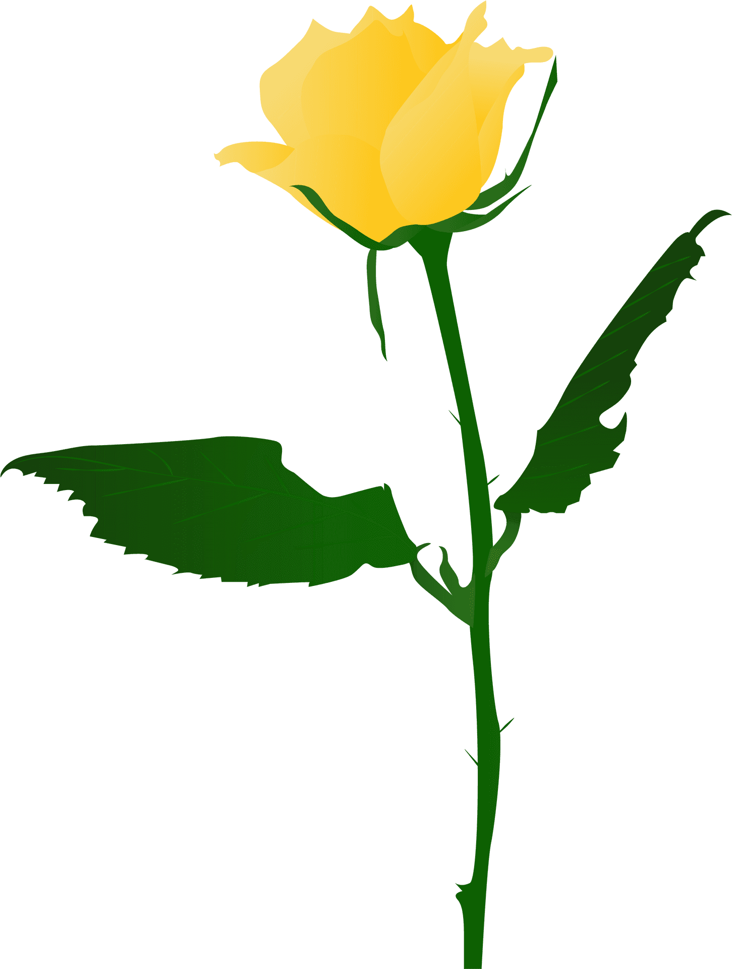 Vibrant Yellow Rose Vector PNG Image