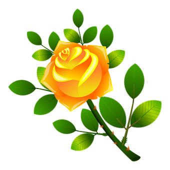 Vibrant Yellow Rose Vector Art PNG Image