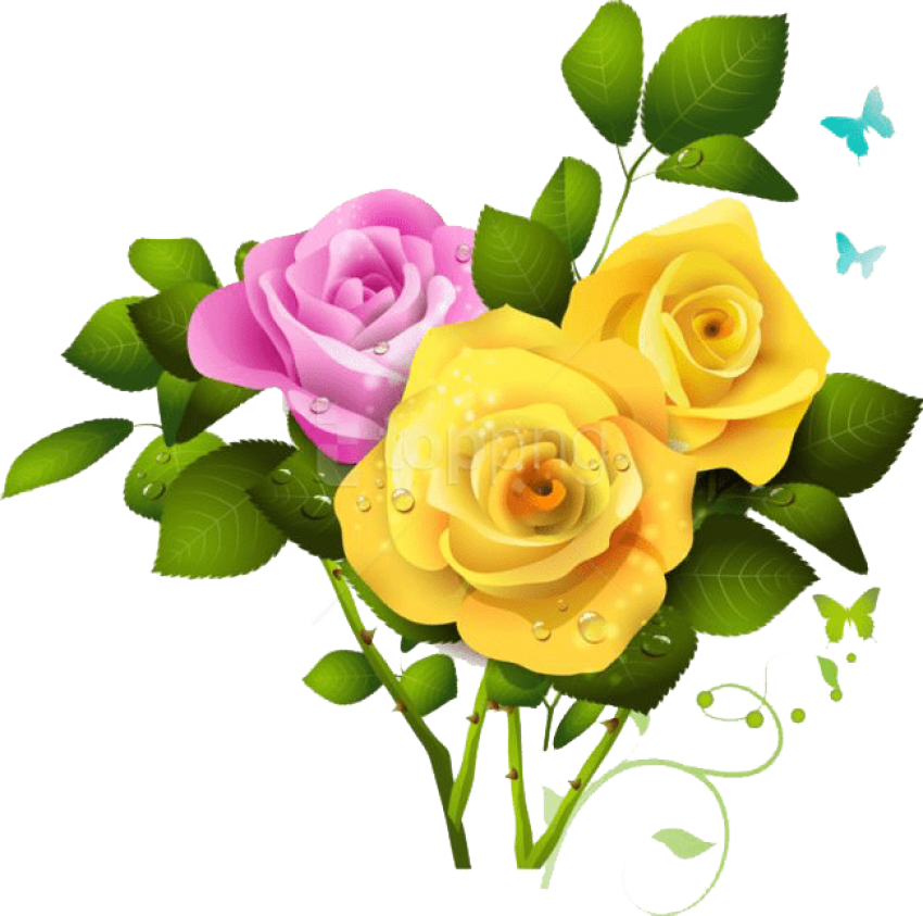 Vibrant Yellowand Pink Roses PNG Image