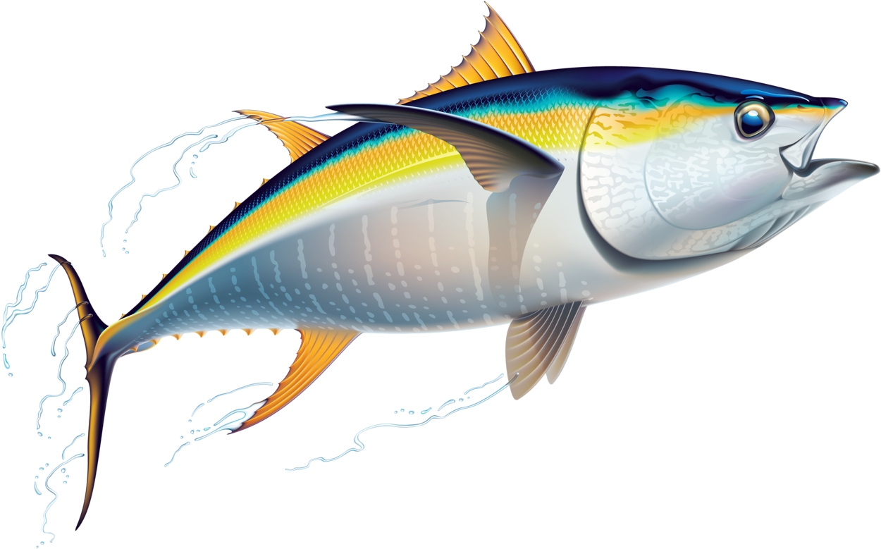 Vibrant Yellowfin Tuna Illustration PNG Image