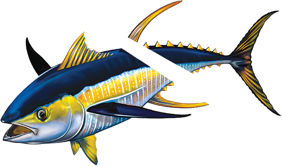 Vibrant Yellowfin Tuna Illustration PNG Image