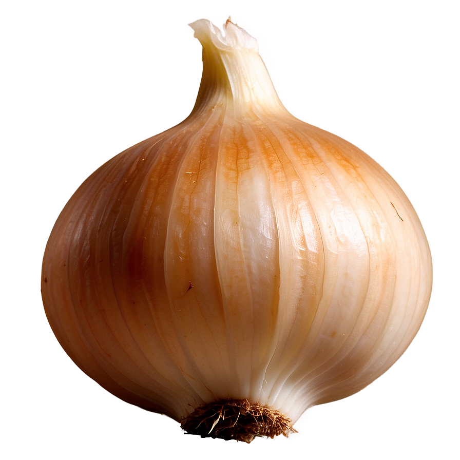 Vidalia Onion Png 32 PNG Image