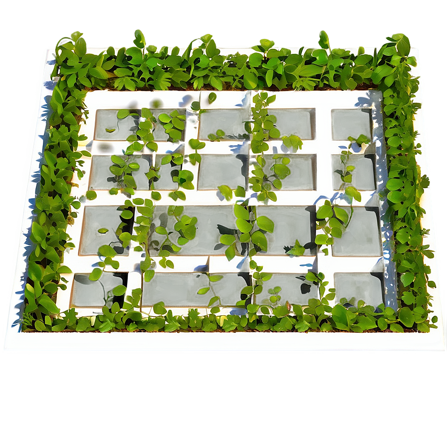 Vine Overgrown Window Frame PNG Image