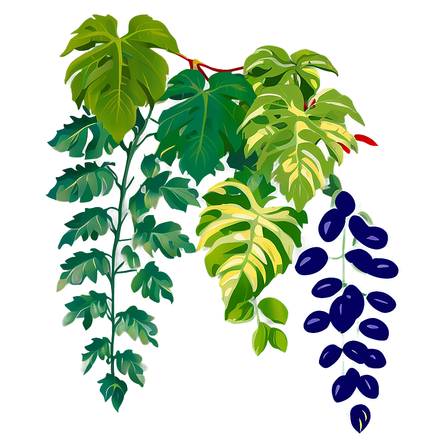 Vine Plant Clipart Png 06272024 PNG Image