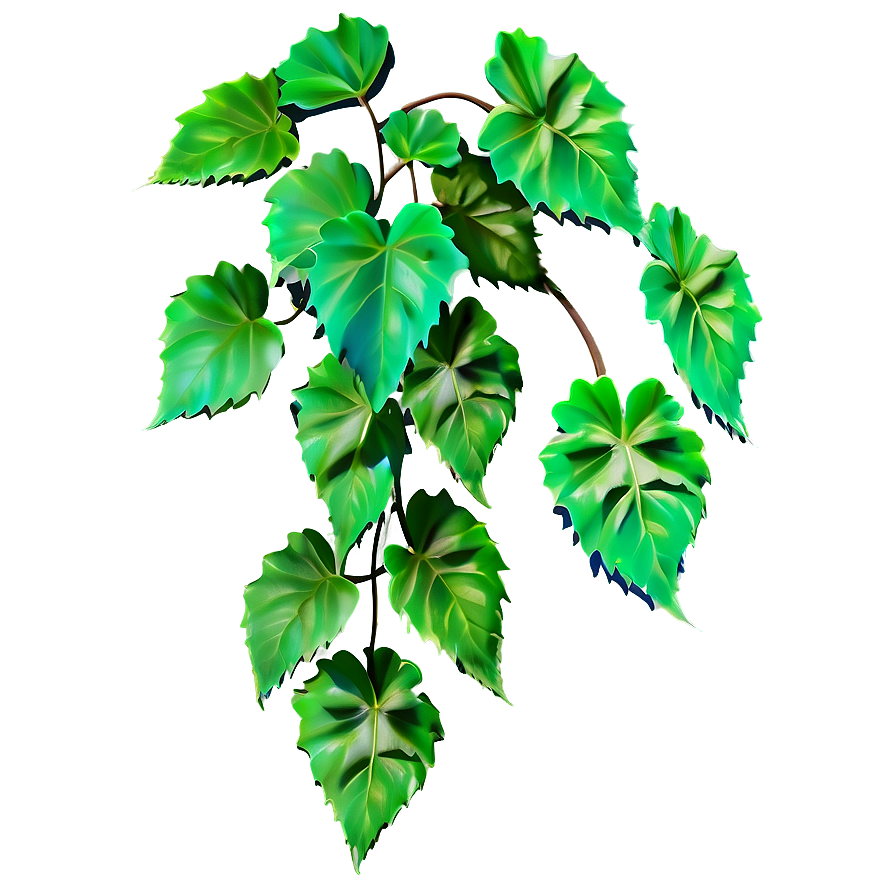 Vine Plant Png Eqw33 PNG Image