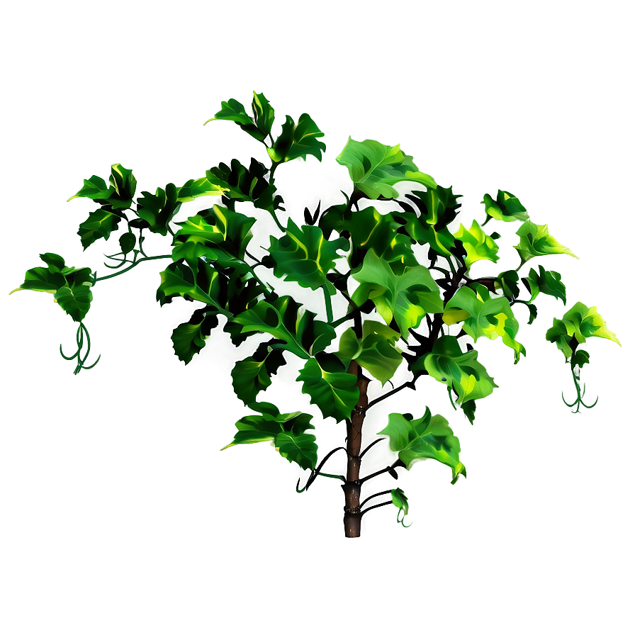 Vine Plants Png Fxu57 PNG Image