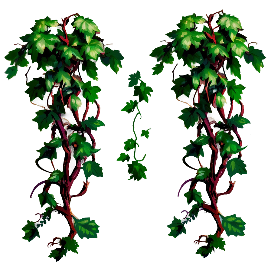 Vines D PNG Image