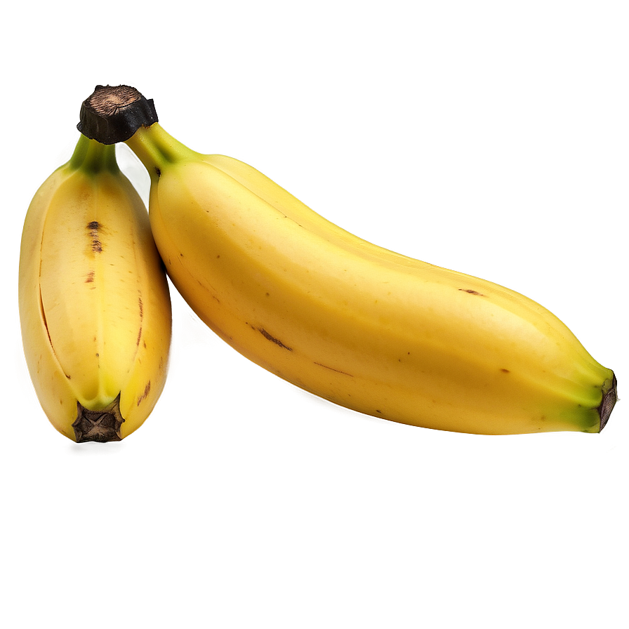 Vintage Banana Png 06132024 PNG Image