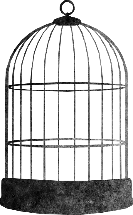 Vintage Bird Cage Graphic PNG Image