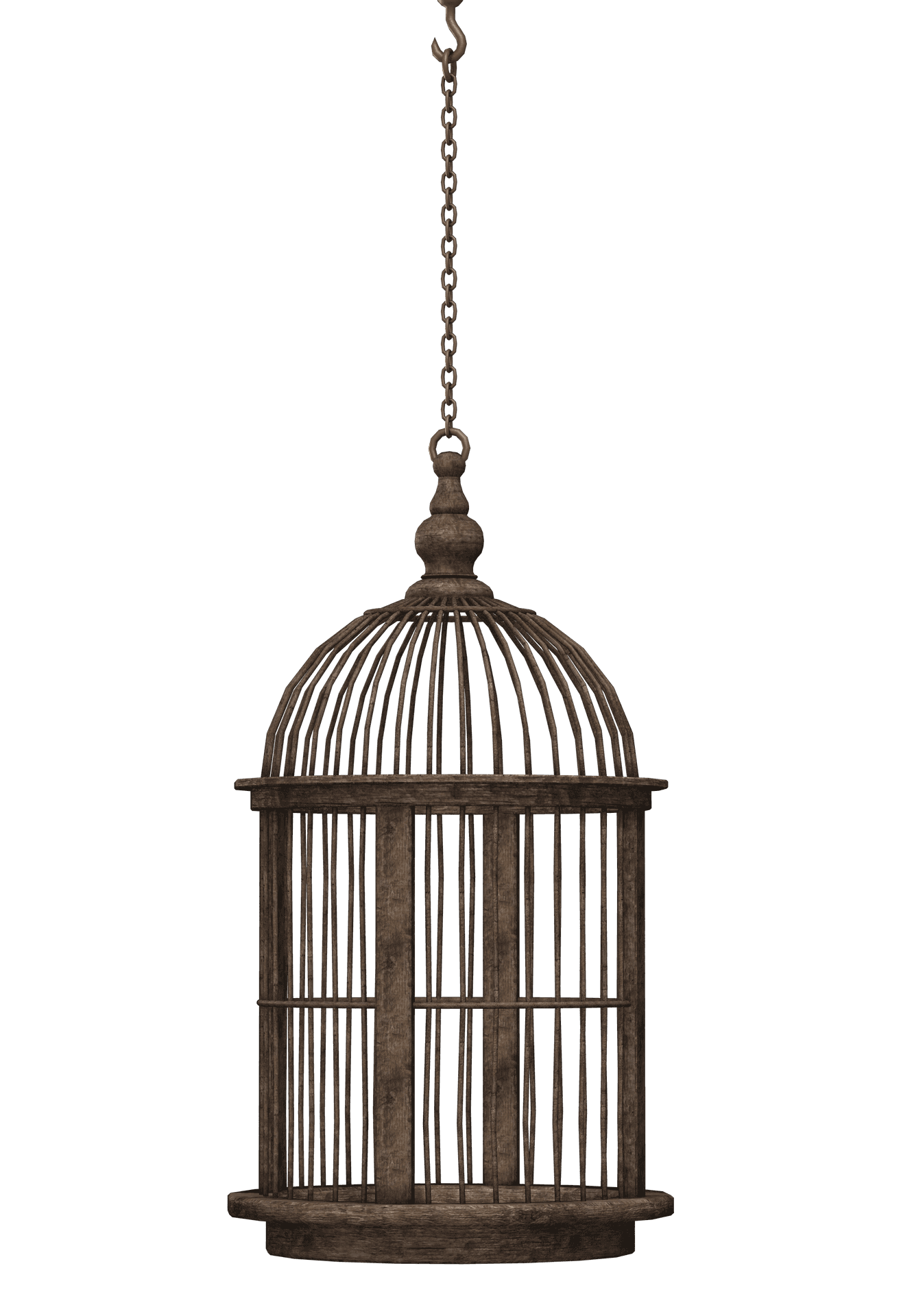 Vintage Bird Cage Isolated PNG Image