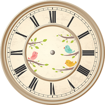 Vintage Bird Illustrated Wall Clock PNG Image