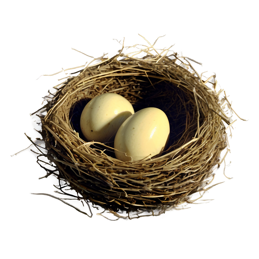 Vintage Bird Nest Png Kyq PNG Image