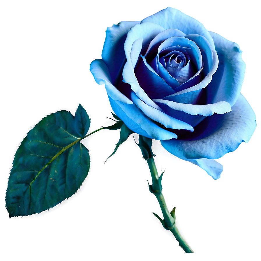 Vintage Blue Rose Png Woi PNG Image