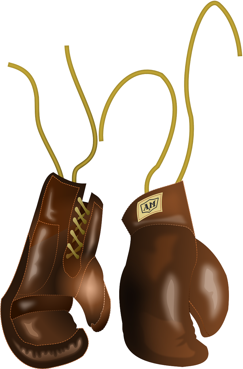 Vintage Boxing Gloves Illustration PNG Image