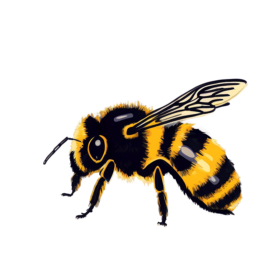 Vintage Bumblebee Drawing Png Jyg PNG Image