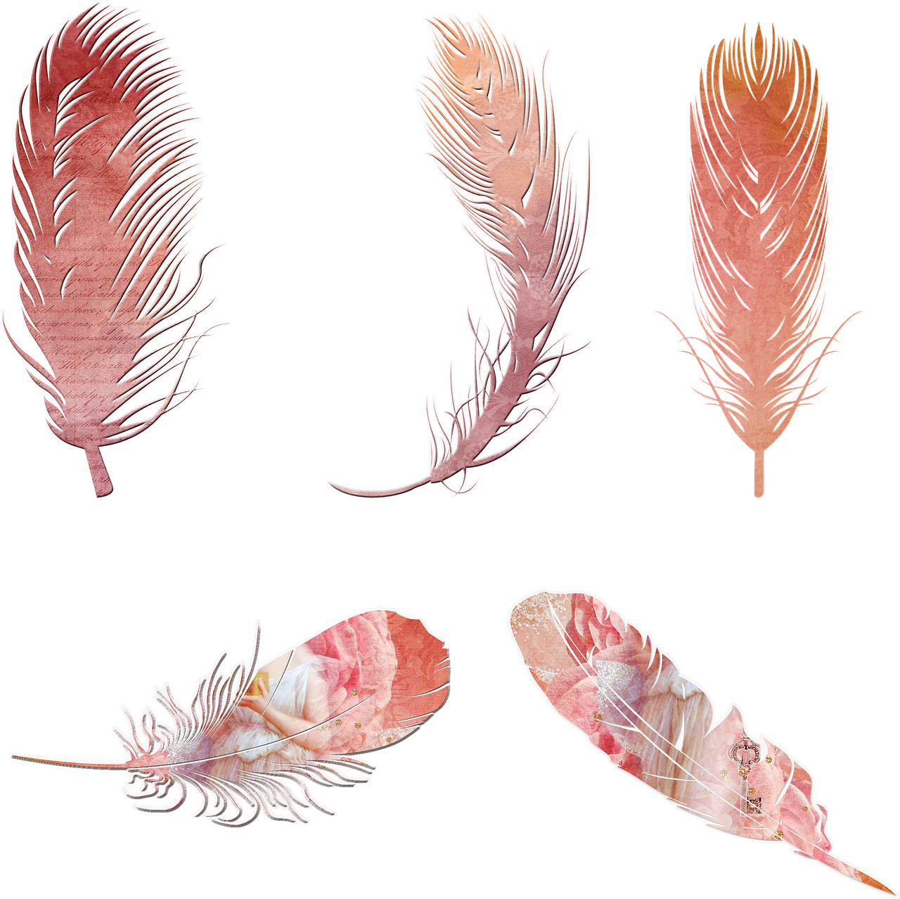 Vintage Feather Collection Clipart PNG Image