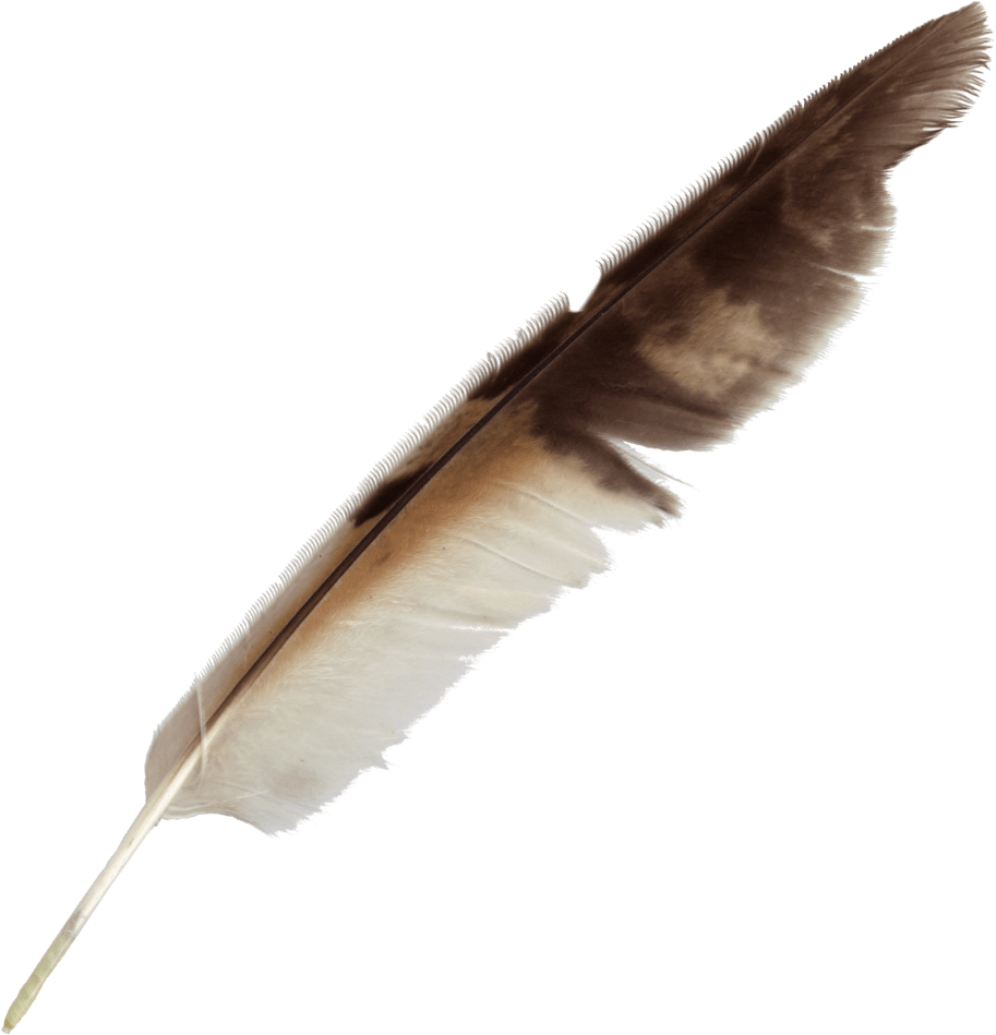 Vintage Feather Quill Pen.png PNG Image