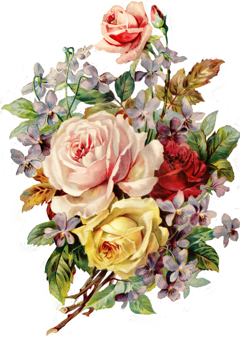 Vintage Floral Bouquet Illustration PNG Image