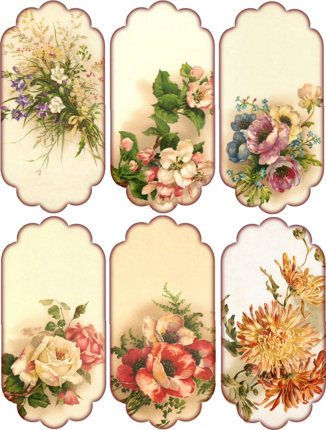 Vintage Floral Collection PNG Image