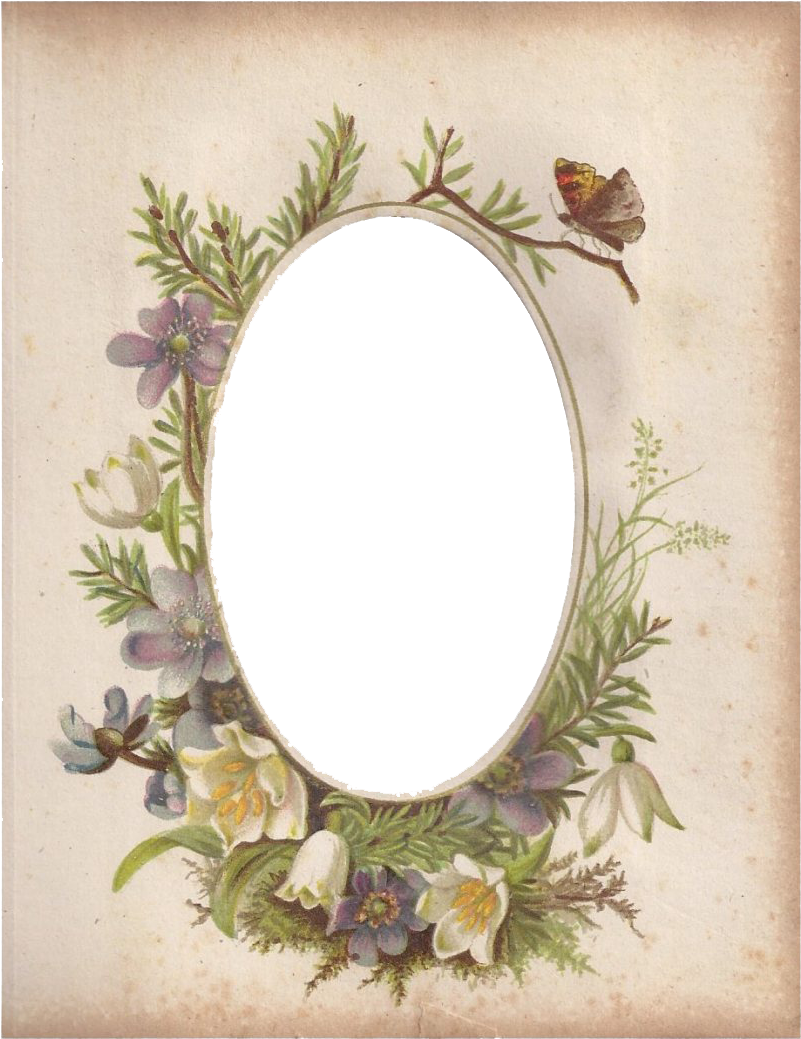 Vintage Floral Oval Framewith Butterfly PNG Image