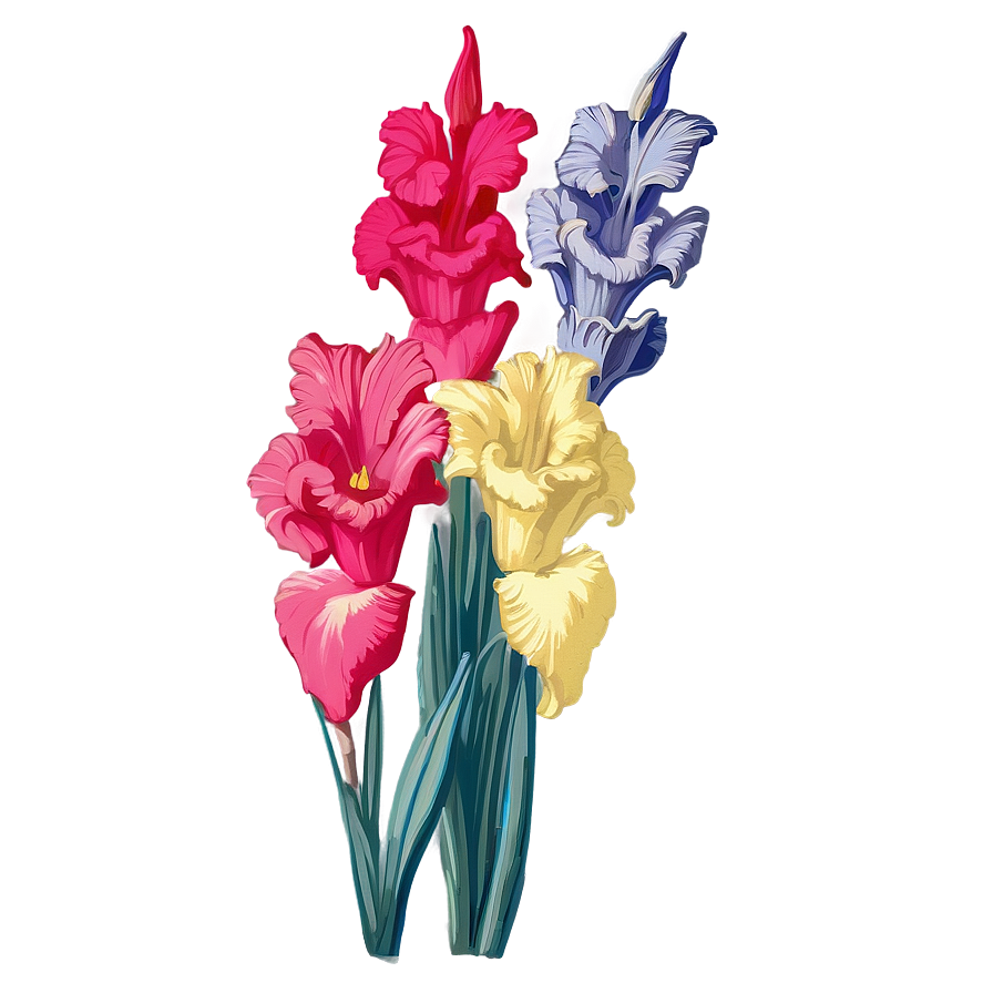 Vintage Gladiolus Print Png 06242024 PNG Image