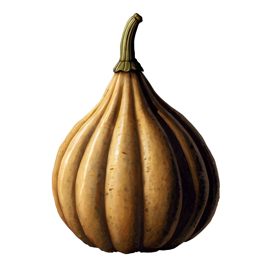 Vintage Gourd Png 06292024 PNG Image