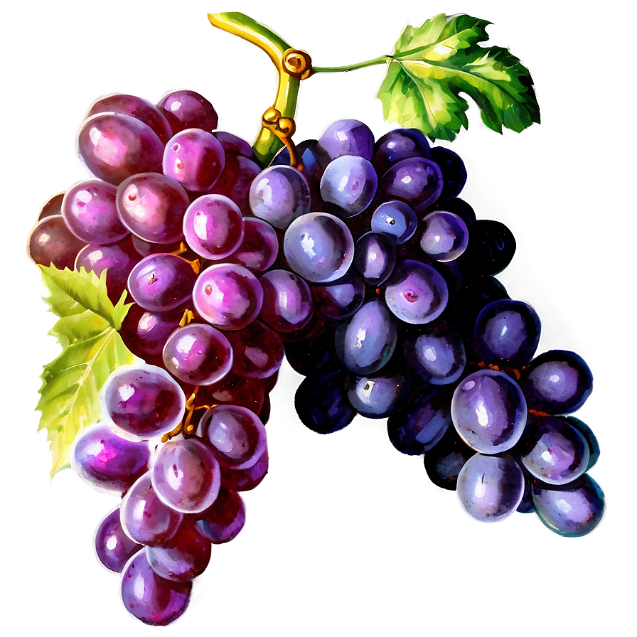 Vintage Grapes Png Sbr97 PNG Image