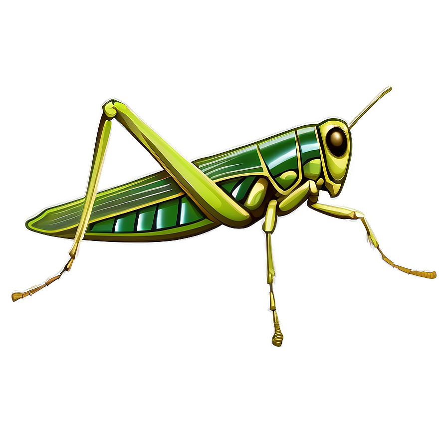 Vintage Grasshopper Illustration Png Ubh PNG Image