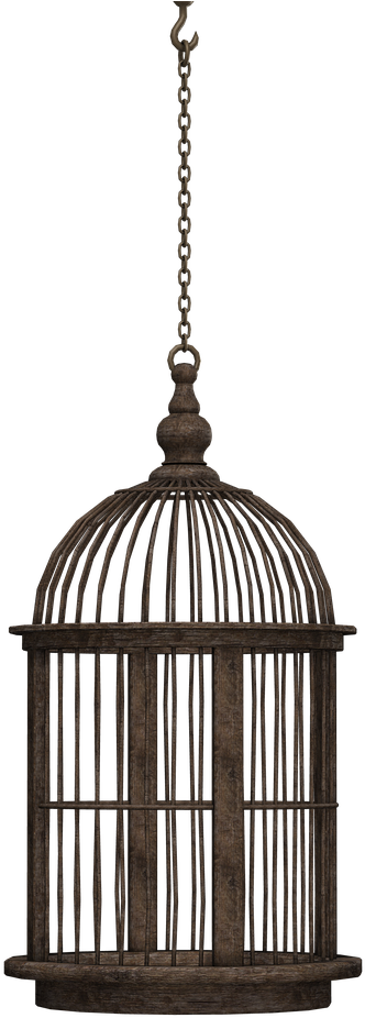 Vintage Hanging Birdcage PNG Image