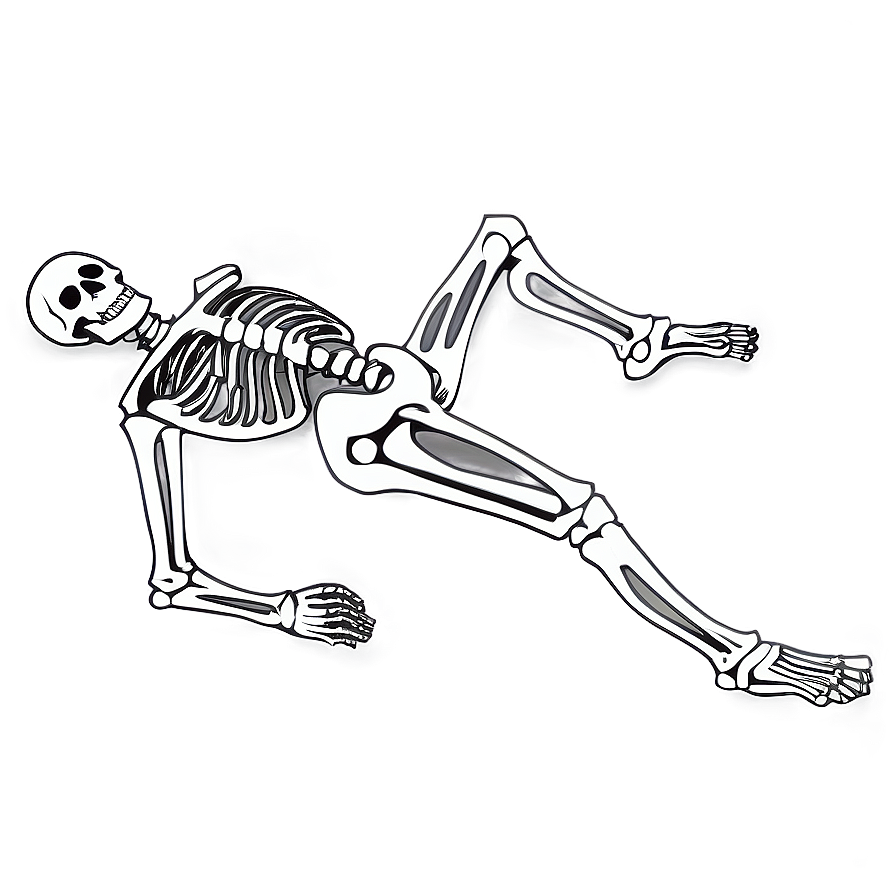 Vintage Human Skeleton Drawing Png Tgd PNG Image