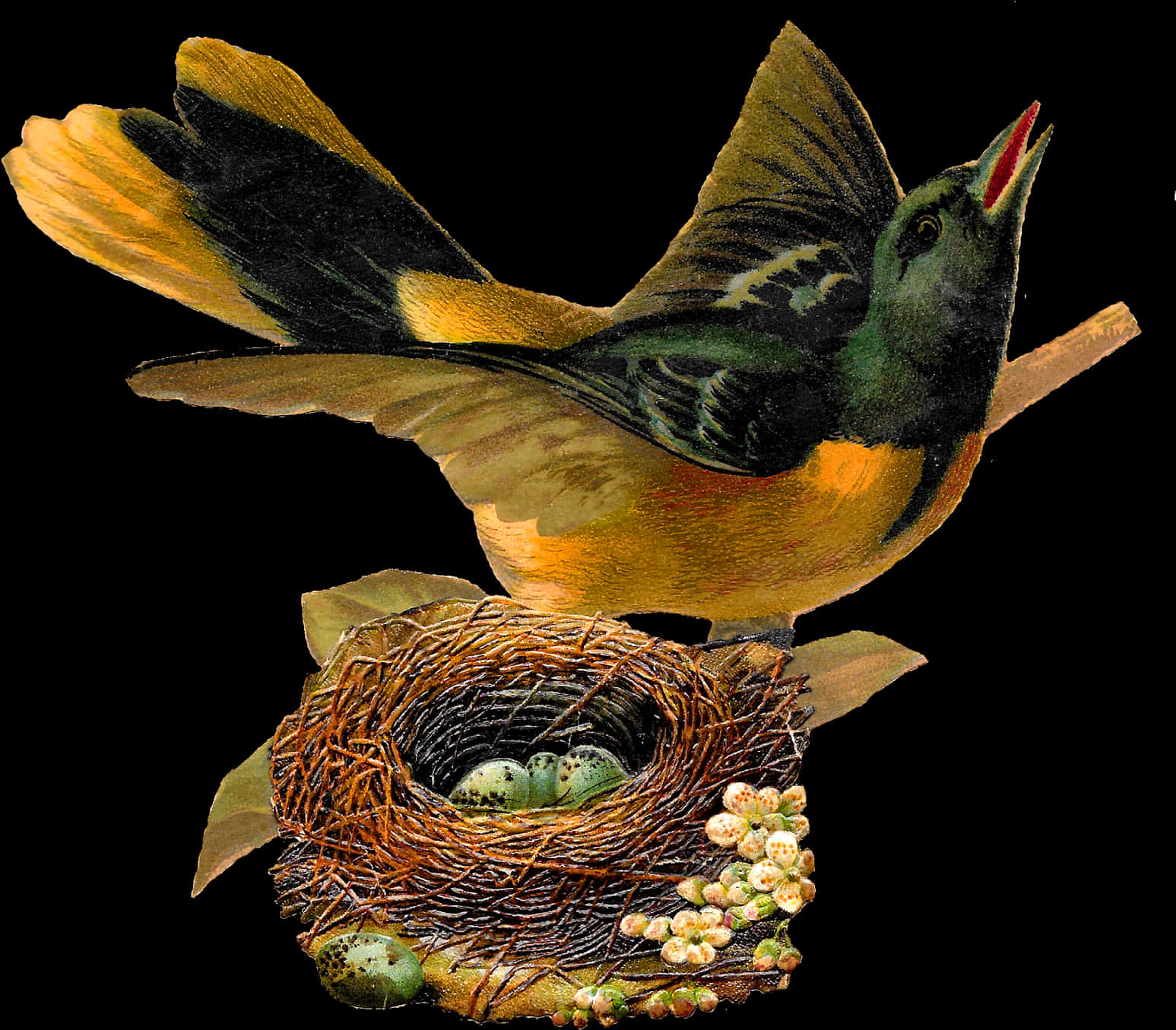 Vintage Illustrated Birdand Nest PNG Image