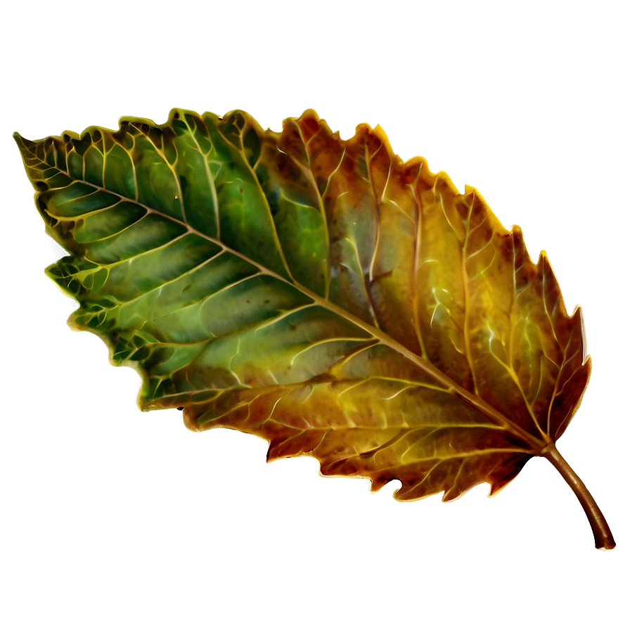 Vintage Leaves Png Kvp PNG Image