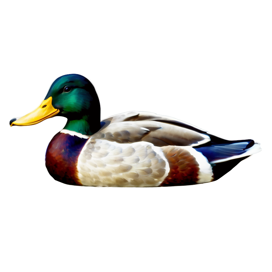 Vintage Mallard Duck Png Esw13 PNG Image