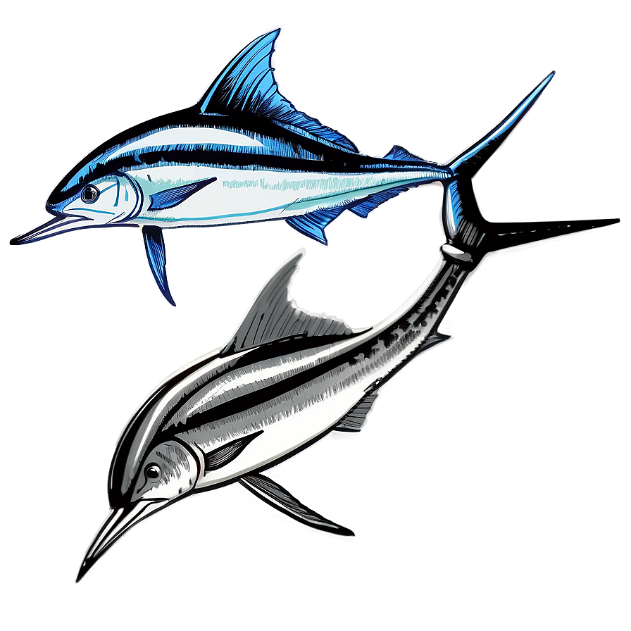 Vintage Marlin Sketch Png 42 PNG Image