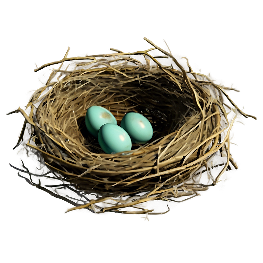 Vintage Nest Illustration Png 05252024 PNG Image